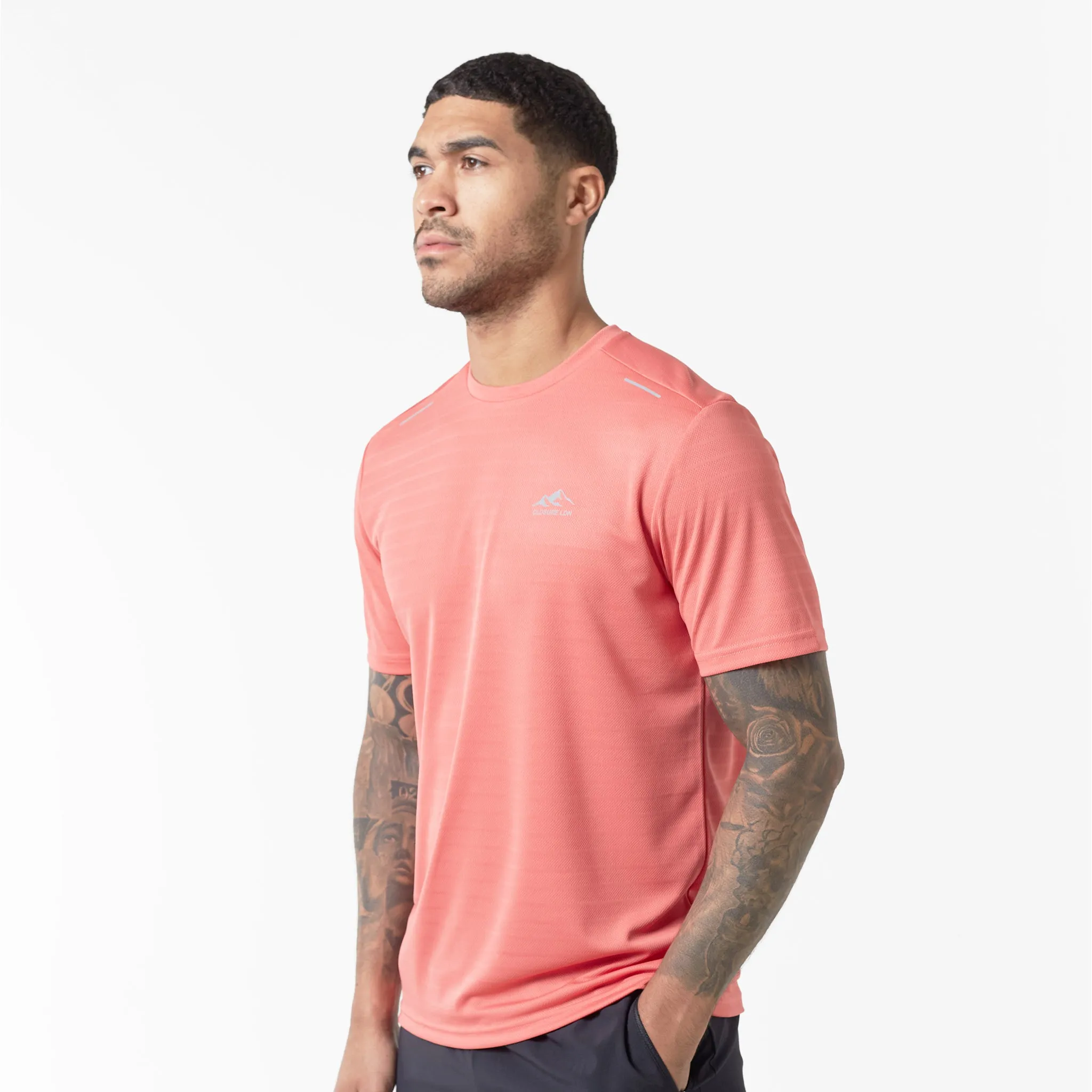2-Pack Training T-Shirts | Dusty Blue/Coral